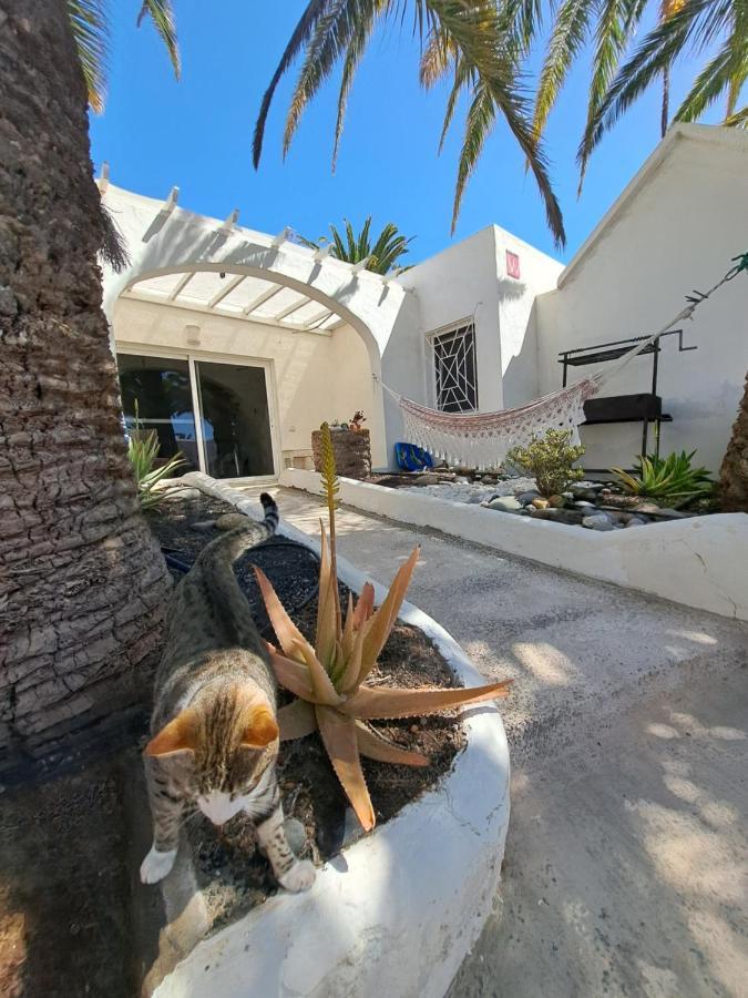 Palm Point Costa Calma Exterior foto